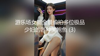 游乐场女厕全景偷拍多位极品少妇的各种美鲍鱼 (3)