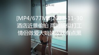 [MP4]红色奶头肉感外围美女 穿上连体网袜特殊姿势口交 大屁股整根插入