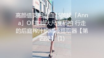 高颜值英日混血TS美妖「Anna」OF露脸大尺度私拍 行走的后庭榨汁机精液提取器【第四弹】 (1)