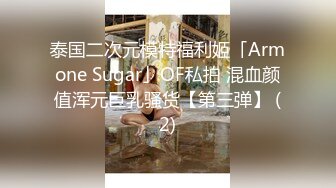 泰国二次元模特福利姬「Armone Sugar」OF私拍 混血颜值浑元巨乳骚货【第三弹】 (2)