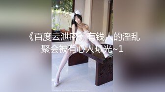 (18禁アニメ) IZUMO イズモ 三ノ巻 琥珀の追憶