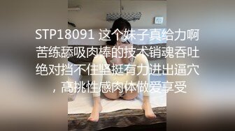 被我下了药的小骚逼随意玩弄