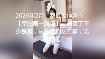 STP29746 國產AV 麻豆傳媒 MD0170-2 野性新人類 紅粉知己的溫柔抽插 趙曉涵