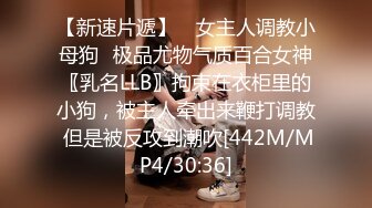 大屌3p女仆小姐姐