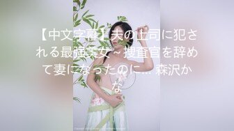 三级 美景之屋2