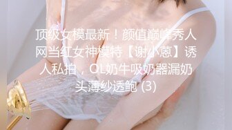 果哥-推女郎极品模特李丽莎之上门商务女