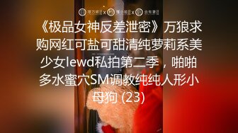 《极品女神反差泄密》万狼求购网红可盐可甜清纯萝莉系美少女lewd私拍第二季，啪啪多水蜜穴SM调教纯纯人形小母狗 (23)