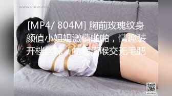 [MP4]果冻传媒-一夜情酒吧酒吧艳遇的美女居然是女友的姐姐-林凤娇