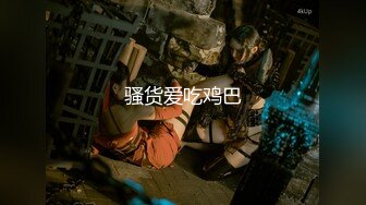 [MP4/185MB]【自制字幕系列】第23弹 探花剪辑版6部，长达个把小时的探花剪辑成两分钟左右的剧情