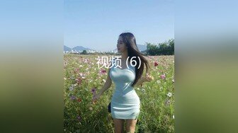 [2DF2] 清纯黑丝小女友『水边豪华酒店享受鱼水之欢 迎接无尽的性高潮 -[MP4/131MB][BT种子]