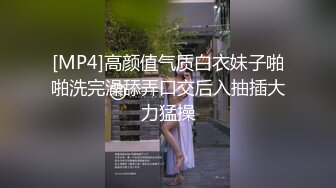 大神一路游走大街小巷四处跟踪偷窥多位美女少妇的各种美鲍4