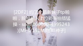 后入骚女蜜桃臀