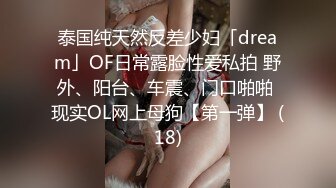 泰国纯天然反差少妇「dream」OF日常露脸性爱私拍 野外、阳台、车震、门口啪啪 现实OL网上母狗【第一弹】 (18)