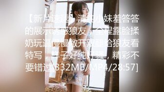 女搜查官特殊手段