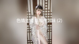 私房四月最新流出大神手持拍摄 潜入某高端写字楼隔板女厕偷拍职业装各色性感高跟鞋白领嘘嘘 (3)