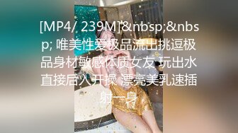 [MP4/241MB]麻豆狗仔 MDWP-0023《 淫行会议室》??下班后的瘙痒难耐