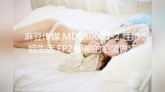 麻豆传媒 MDSR0003-2 性婚姻生活 EP2 模糊的感情界定