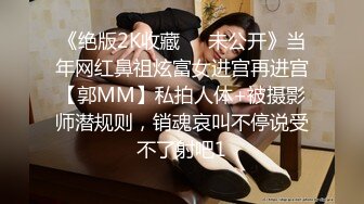 【OnlyFans】OF极品女神 Naomiii 付费福利，后备箱的专属礼物，打卡景点外拍，极品大屁股 19