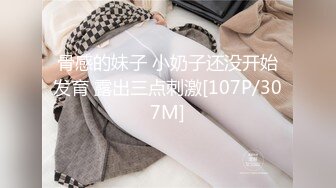 [MP4]国产AV-绅士大保健 性感技师主动要求被调教