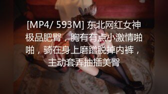 [MP4/ 593M] 东北网红女神极品肥臀，胸有有点小激情啪啪，骑在身上磨蹭脱掉内裤，主动套弄抽插美臀