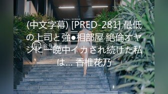 (中文字幕) [PRED-281] 最低の上司と強●相部屋 絶倫オヤジに一晩中イカされ続けた私は… 香椎花乃