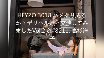 HEYZO 3018 ハメ撮り成るか？デリヘル嬢と交渉してみましたVol.2 &#8211; 高杉洋子