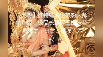 [MP4/463MB]大神【丰田哥】玩肏女神级小姐姐，车震足交口活吞精，听话乖巧非常骚母狗