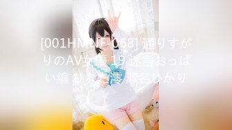 [001HMNF-068] 通りすがりのAV女優 19 迷言おっぱい編 ひなた澪 瀬名ひかり