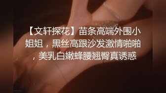 蹂躏028长腿母狗