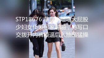 STP18676 草莓小喵喵大屁股少妇女仆装居家啪啪，特写口交拨开内裤摸逼后入抽插猛操